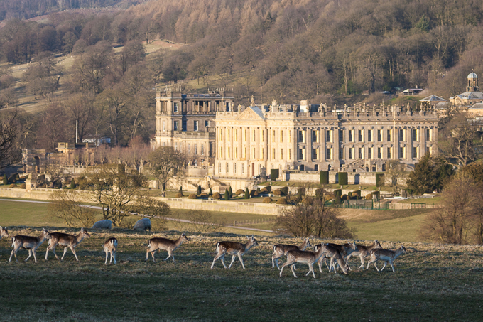 Chatsworth 2015 (06)